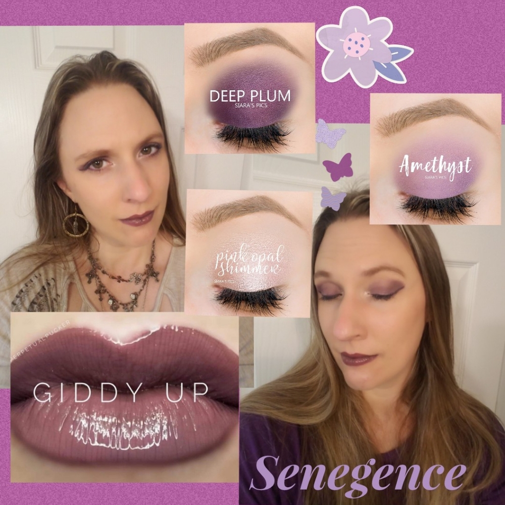 Lipsense Senegence makeup